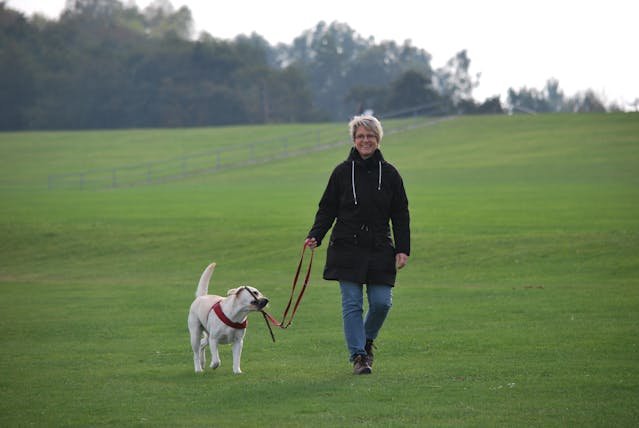 health benefits of morning walk